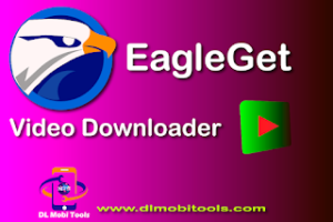 EagleGet Video Downloader For Windows 2